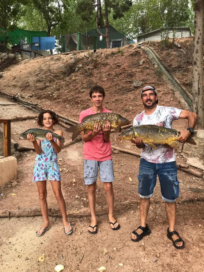 מלון Rugat Oasis Country Park מראה חיצוני תמונה