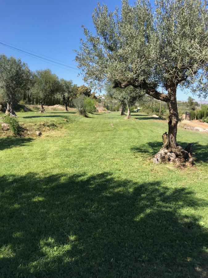 מלון Rugat Oasis Country Park מראה חיצוני תמונה